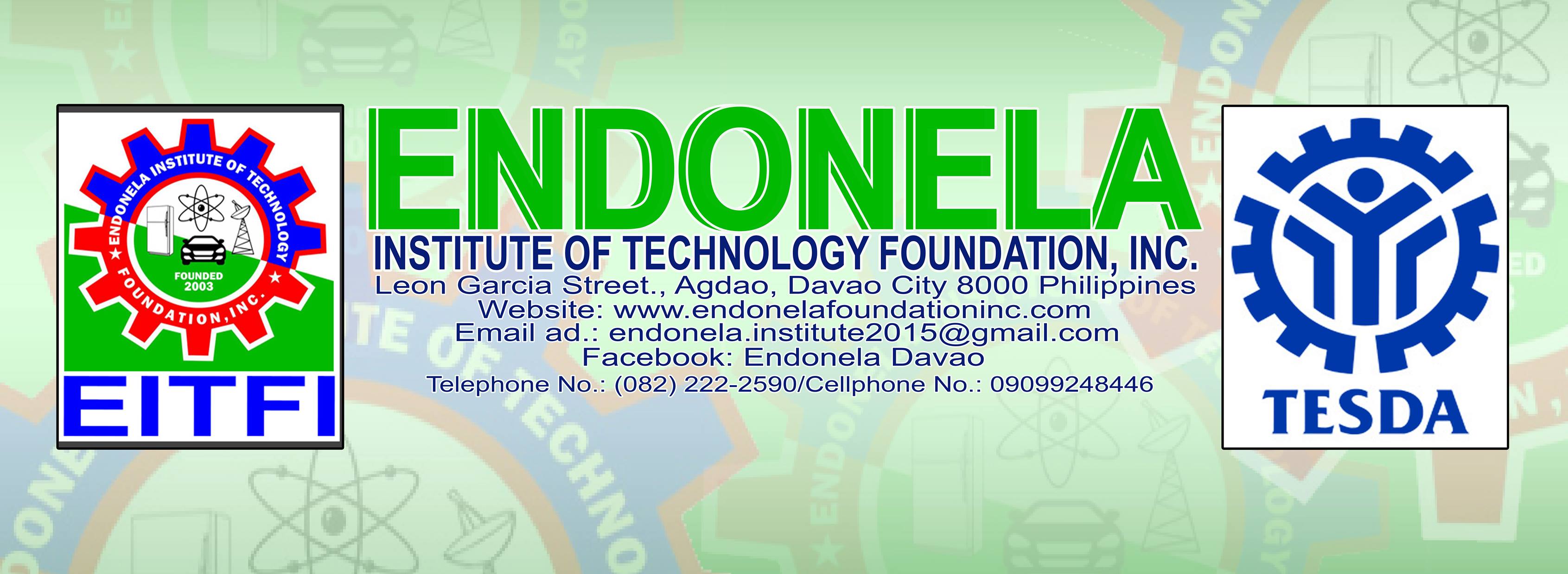 Endonela Institute Cover